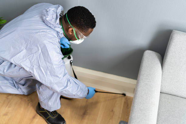 Real Estate Pest Inspections in Schriever, LA